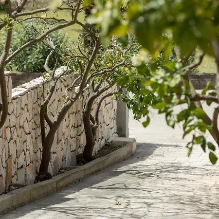 Kalos * 尼亚卢卡